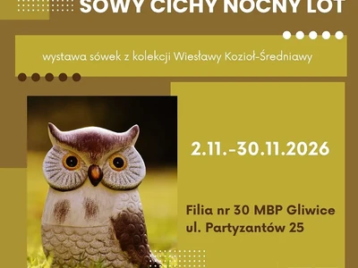 sowy-cichy-nocny-lot